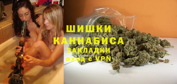 сатива Баксан