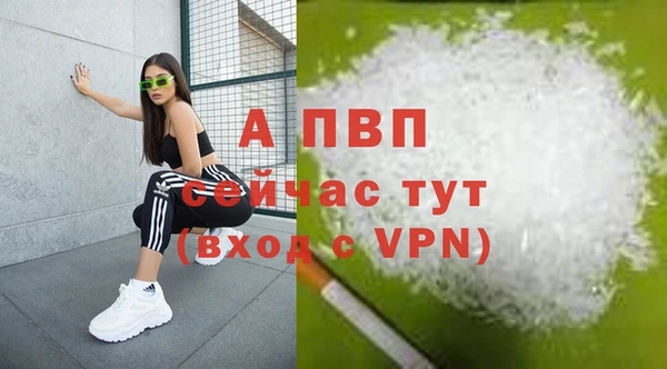сатива Баксан