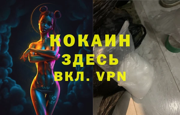 сатива Баксан